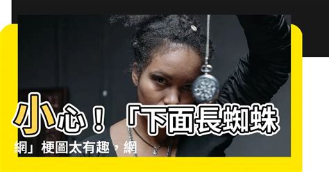 下面長蜘蛛網梗圖|[閒聊] 看過最好笑的梗圖